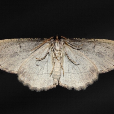 Underside