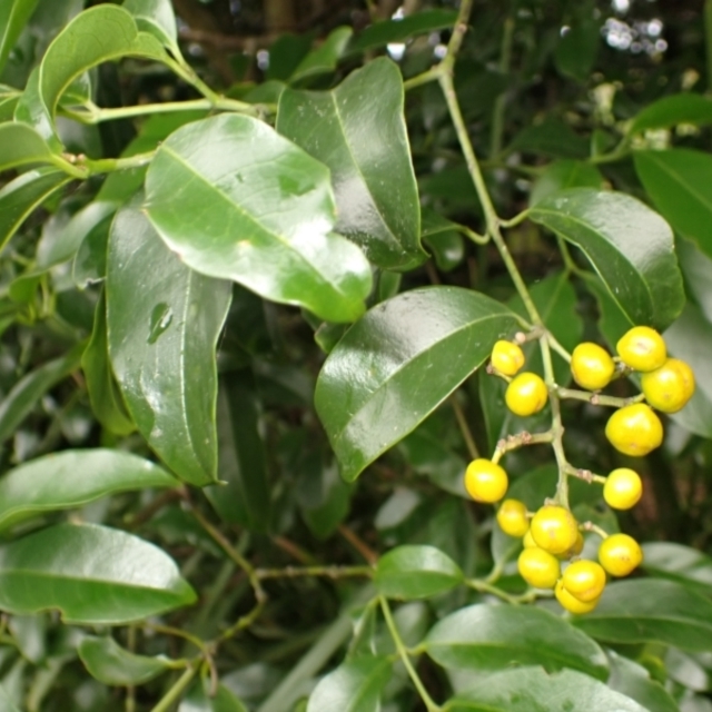 View sample image gallery