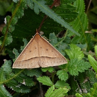 Male at night.