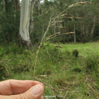 Jackie Miles, Packers Swamp Rd bog