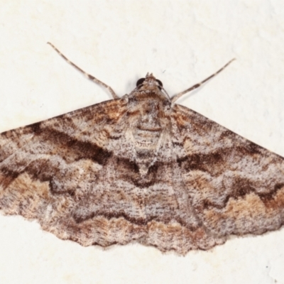 Lipogya eutheta