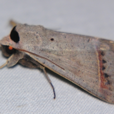 Underside