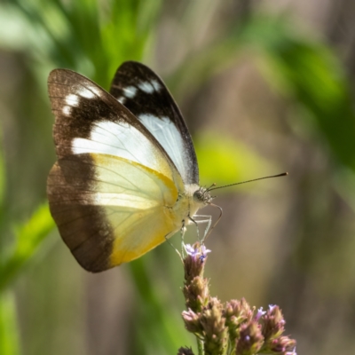 Female