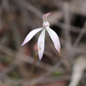 Fire and Orchids ACT Citizen Science Project at Point 5810 - 16 Oct 2016