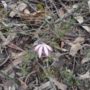 Fire and Orchids ACT Citizen Science Project at Point 5810 - 16 Oct 2016