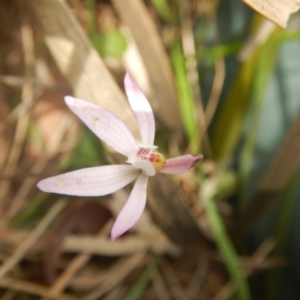 Fire and Orchids ACT Citizen Science Project at Point 4712 - 16 Oct 2016