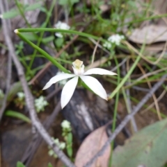 Fire and Orchids ACT Citizen Science Project at Point 5598 - 30 Oct 2015