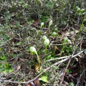 Fire and Orchids ACT Citizen Science Project at Point 5204 - 27 Sep 2014