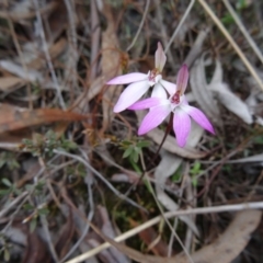 Fire and Orchids ACT Citizen Science Project at Point 5204 - 24 Sep 2014