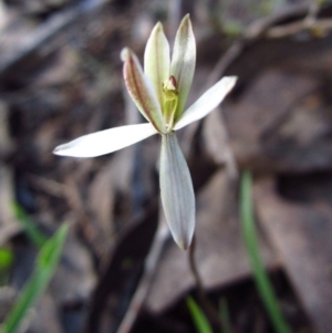 Fire and Orchids ACT Citizen Science Project at Point 610 - 25 Sep 2016