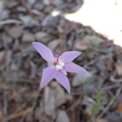 Fire and Orchids ACT Citizen Science Project at Point 5827 - 12 Oct 2015