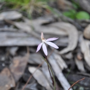 Fire and Orchids ACT Citizen Science Project at Point 4010 - 25 Sep 2016