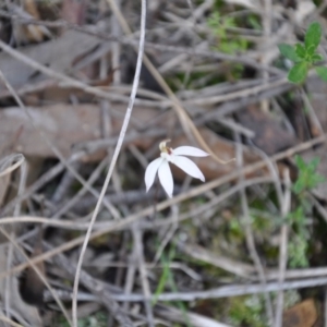 Fire and Orchids ACT Citizen Science Project at Point 4010 - 25 Sep 2016