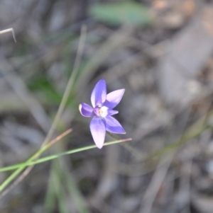 Fire and Orchids ACT Citizen Science Project at Point 4010 - 25 Sep 2016