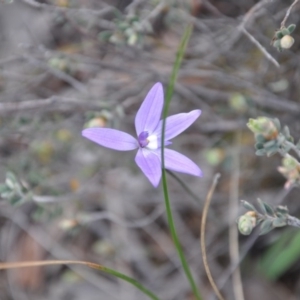 Fire and Orchids ACT Citizen Science Project at Point 4010 - 25 Sep 2016