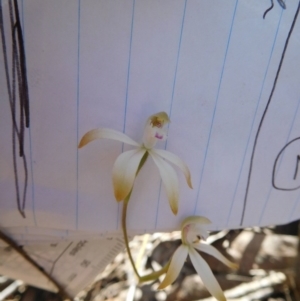 Fire and Orchids ACT Citizen Science Project at Point 5821 - 15 Oct 2016