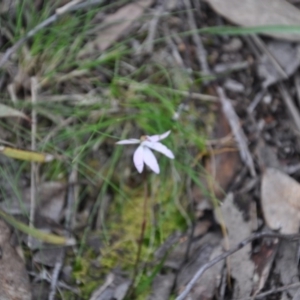 Fire and Orchids ACT Citizen Science Project at Point 4010 - 25 Sep 2016