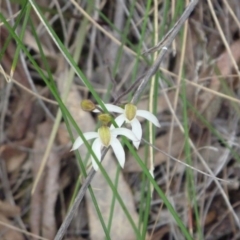 Fire and Orchids ACT Citizen Science Project at Point 4010 - 25 Oct 2015