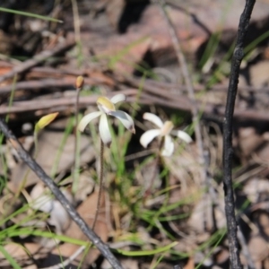 Fire and Orchids ACT Citizen Science Project at Point 5154 - 28 Sep 2016