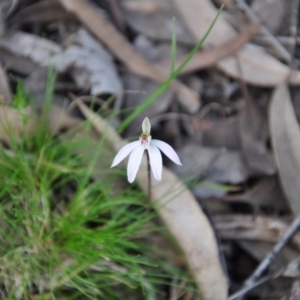 Fire and Orchids ACT Citizen Science Project at Point 4010 - 25 Sep 2016