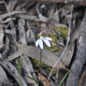 Fire and Orchids ACT Citizen Science Project at Point 4010 - 25 Sep 2016