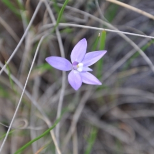 Fire and Orchids ACT Citizen Science Project at Point 4010 - 25 Sep 2016