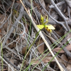 Fire and Orchids ACT Citizen Science Project at Point 4010 - 17 Oct 2015