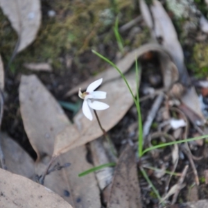 Fire and Orchids ACT Citizen Science Project at Point 4010 - 25 Sep 2016