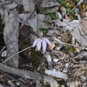 Fire and Orchids ACT Citizen Science Project at Point 4010 - 25 Sep 2016