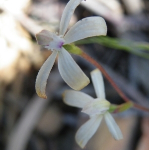 Fire and Orchids ACT Citizen Science Project at Point 5515 - 14 Oct 2016