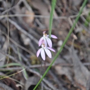 Fire and Orchids ACT Citizen Science Project at Point 4010 - 25 Sep 2016