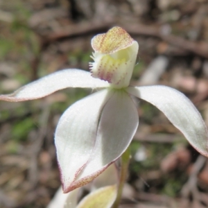 Fire and Orchids ACT Citizen Science Project at Point 5204 - 27 Oct 2021