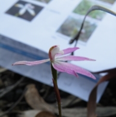 Fire and Orchids ACT Citizen Science Project at Point 5832 - 6 Oct 2016