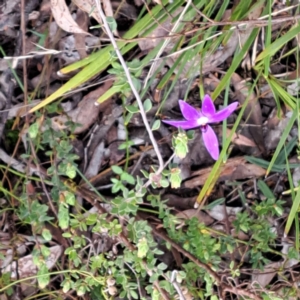 Fire and Orchids ACT Citizen Science Project at Point 5828 - 4 Oct 2022