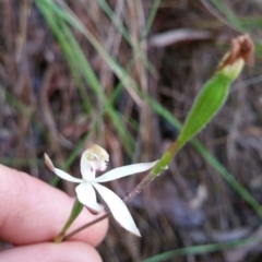 Fire and Orchids ACT Citizen Science Project at Point 4857 - 14 Nov 2016