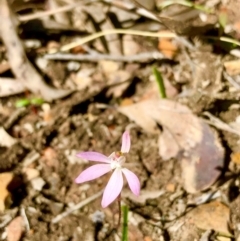 Fire and Orchids ACT Citizen Science Project at Point 5827 - 25 Sep 2021