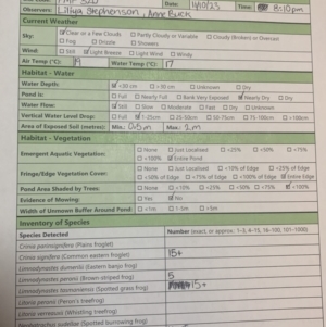 FrogWatch survey at FMF320: JR Hope Park - 11 Oct 2023