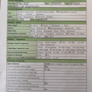 FrogWatch survey at FMC220: Mt Majura 3 Jukes - 22 Oct 2023