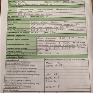 FrogWatch survey at MFL007: Mulligans Flat 7 - 4 Oct 2024