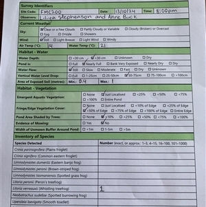 FrogWatch survey at FMC200: Mt Majura 1 Lower - 13 Oct 2024