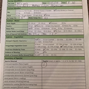 FrogWatch survey at MFL003: Shearing Shed Dam - 10 Nov 2024